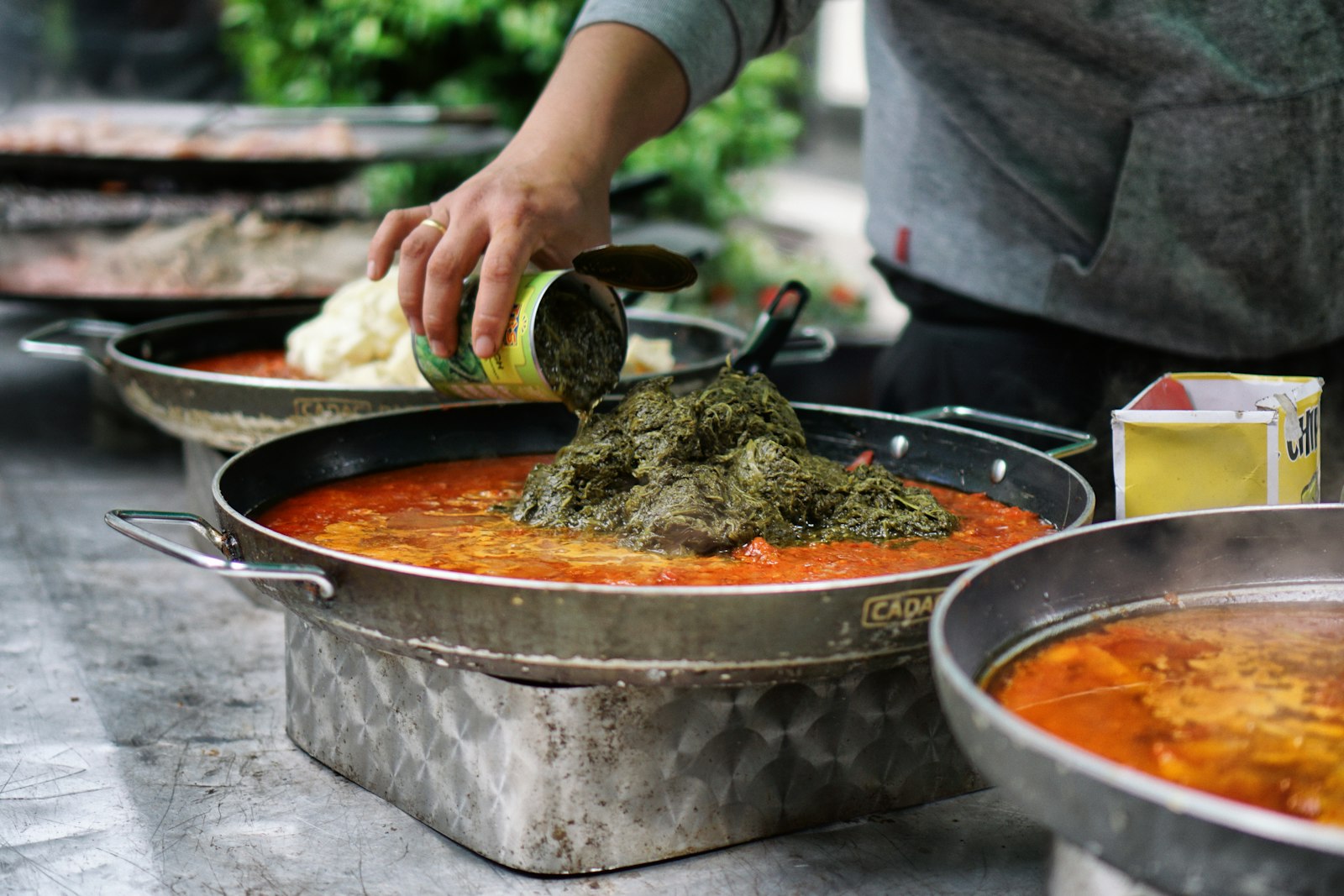 Lezzetli Palak Paneer Tarifi
