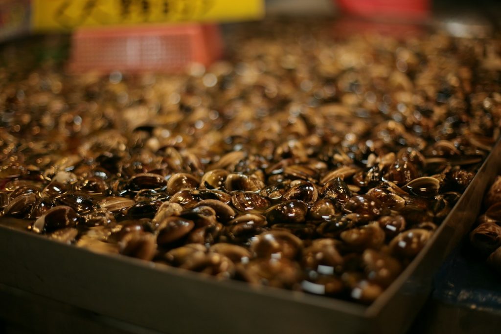 Nefis İspanyol Churros Tarifi