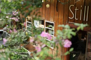 Nefis Sakızlı Muhallebi Tarifi